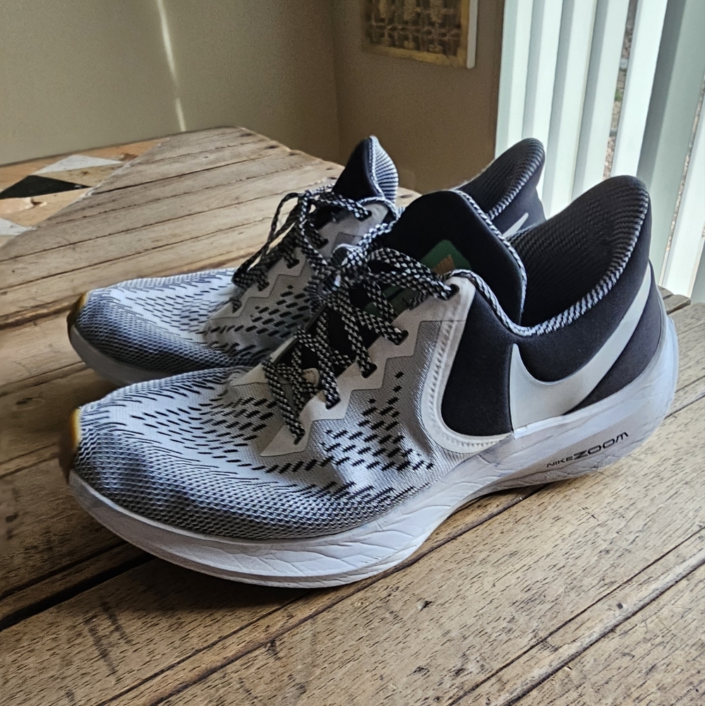 Nike Zoom Winflo 6 SE 'Platinum White'